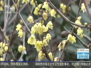 武進(jìn)新聞