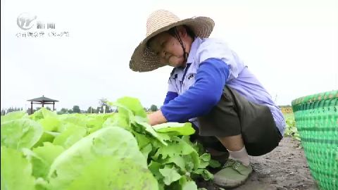 武進新聞