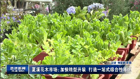 武進(jìn)新聞